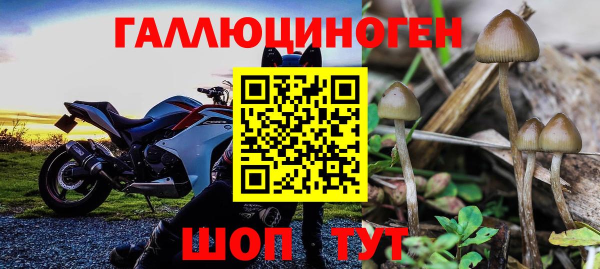 Псилоцибиновые грибы Magic Shrooms Избербаш