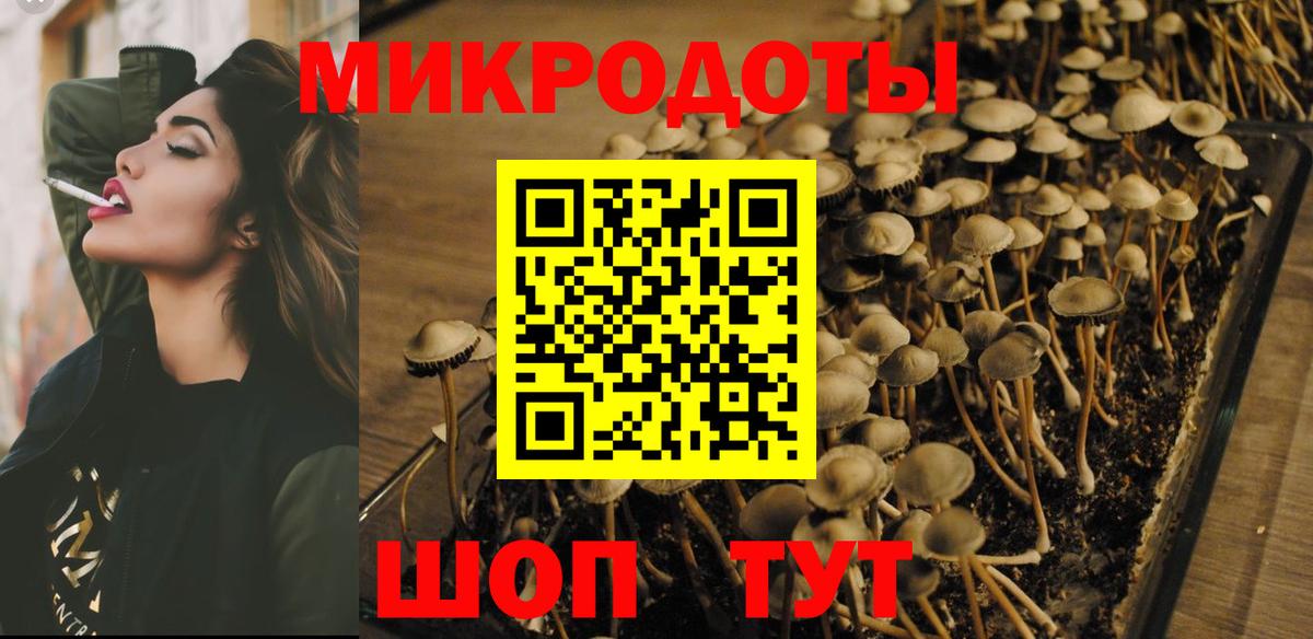 Избербаш  Галлюциногенные грибы Cubensis  Вход с VPN  Псилоцибиновые грибы мухоморы 